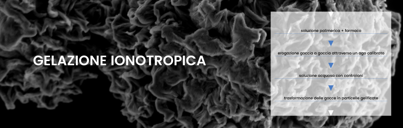 Gelazione ionotropica
